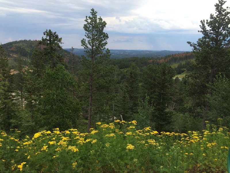 Black-Hills-SD/800x600_Terry Peak.jpg